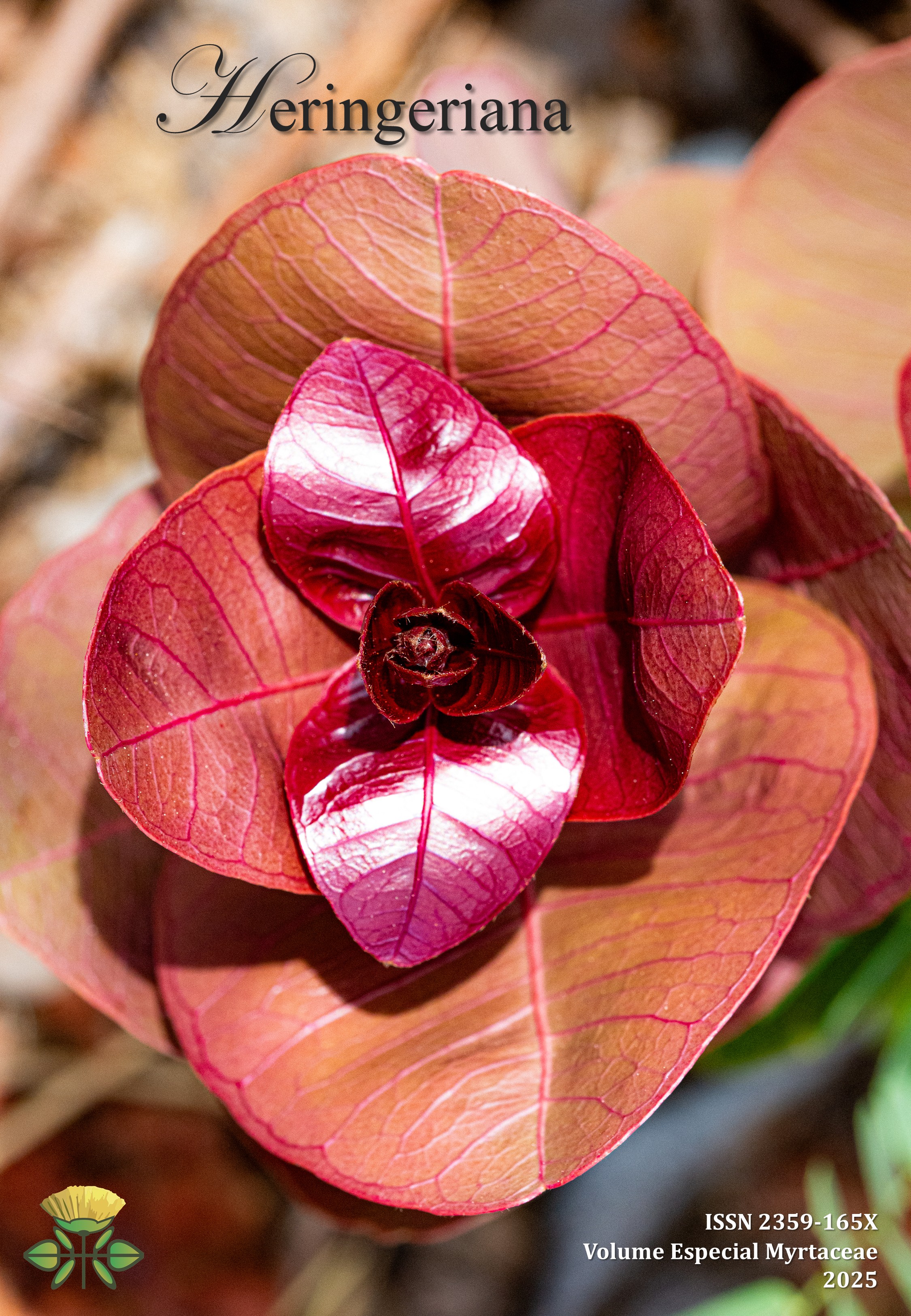 Foto em detalhe de folhas novas de Myrcia variabilis DC.